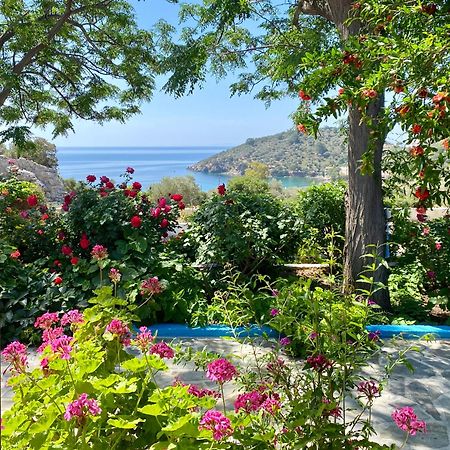 Studios Ioanna Limnionas Samos Marathókampos Esterno foto