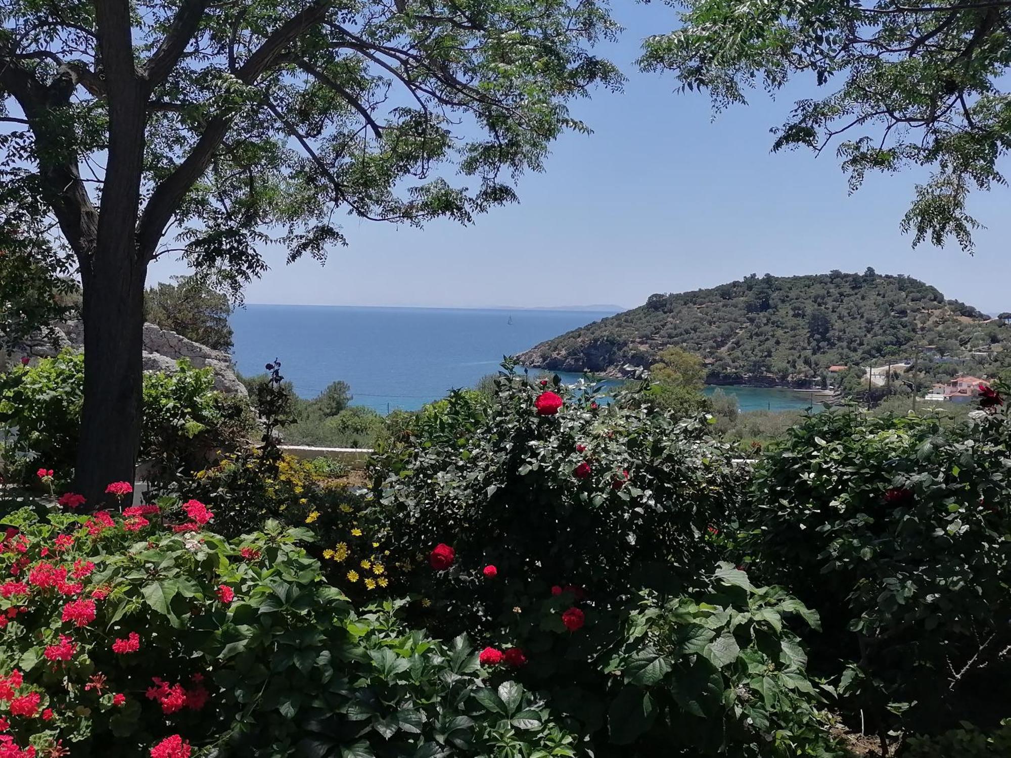 Studios Ioanna Limnionas Samos Marathókampos Esterno foto