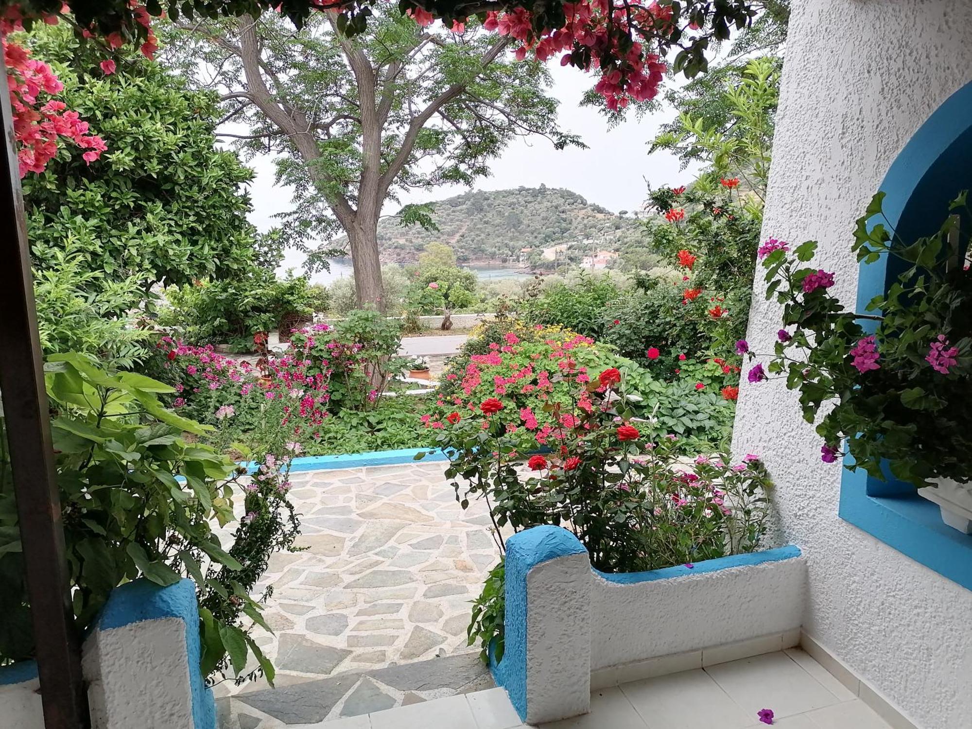 Studios Ioanna Limnionas Samos Marathókampos Esterno foto