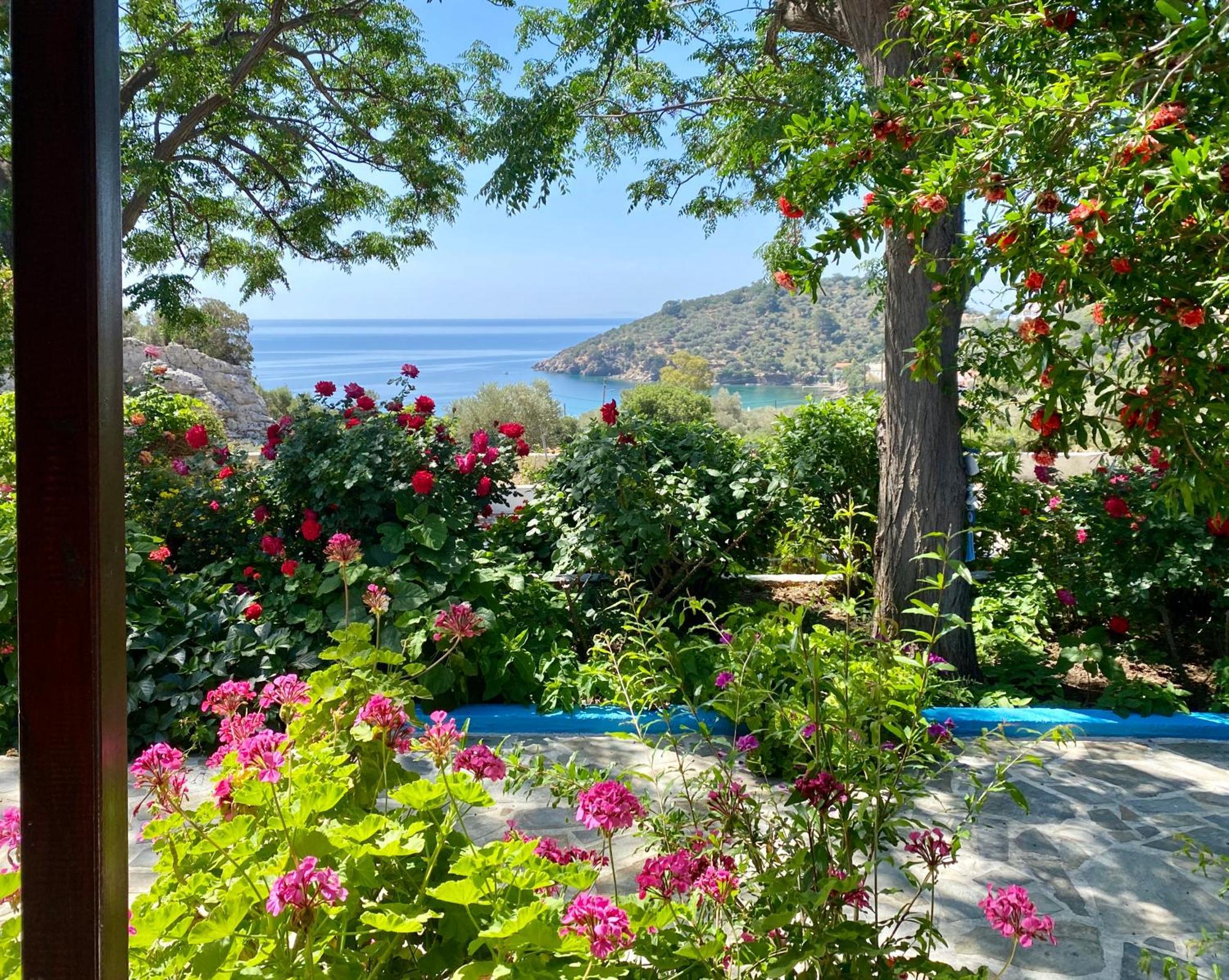 Studios Ioanna Limnionas Samos Marathókampos Esterno foto